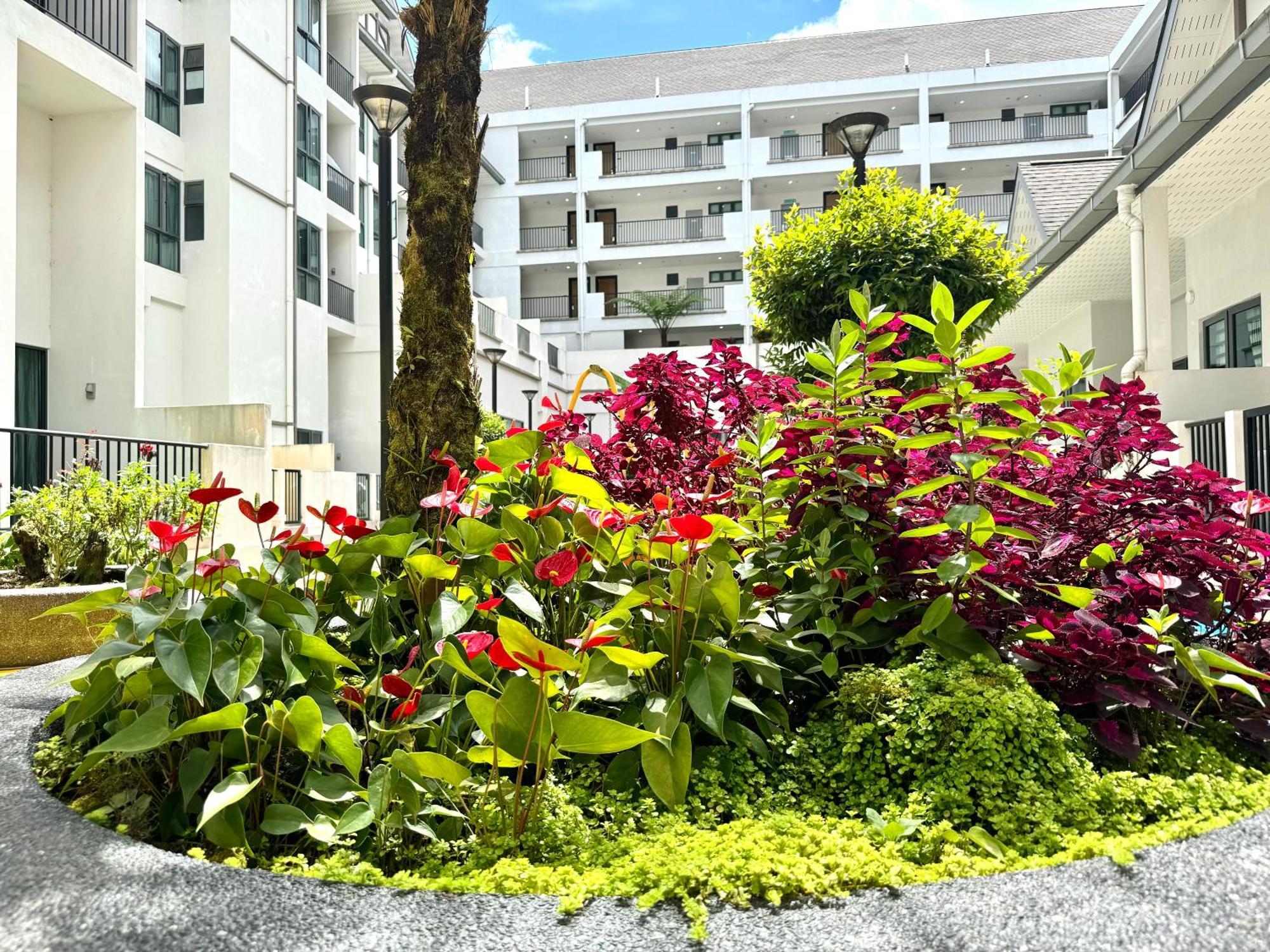 Themework Homestay@Cameron Highlands Exterior photo